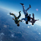 rosen_jamfreefly