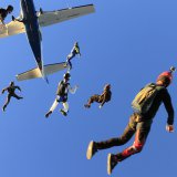 Flocking Exit