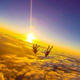 Sunset Flock