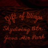 gift of wings