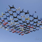 Formation