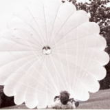 1971