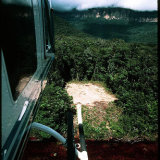 junglelanding