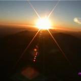 docrich_2