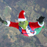 The Grinch