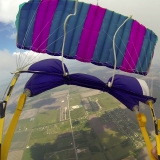 Canopy (2)