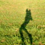 Shadow