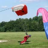 Swooping - Pepperell