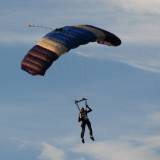 Canopy Flight - Pepperell