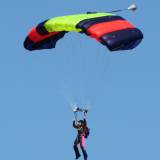 Canopy Flight - Pepperell