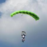 Canopy Flight - Pepperell