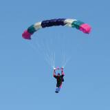 Canopy Flight - Pepperell