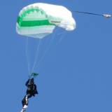 Canopy Flight - Pepperell