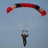 Canopy Flight - Pepperell