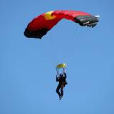 Canopy Flight - Pepperell