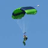 Canopy Flight - Pepperell