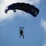 Canopy Flight - Pepperell
