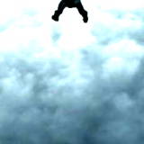 backfly