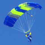 Canopy Flight - Pepperell