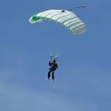 Canopy Flight - Pepperell