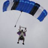 Canopy Flight - Pepperell