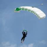 Canopy Flight - Pepperell
