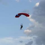 Canopy Flight - Pepperell