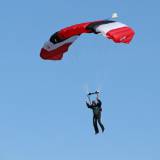 Canopy Flight - Pepperell