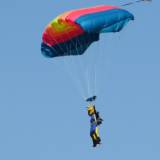 Canopy Flight - Pepperell