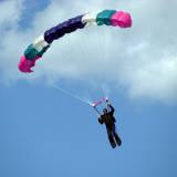 Canopy Flight - Pepperell
