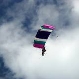 Canopy Flight - Pepperell