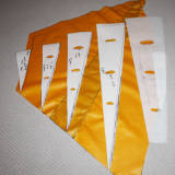 Wingsuit 4