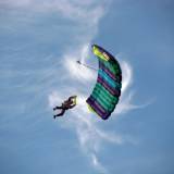 Canopy Flight - Pepperell