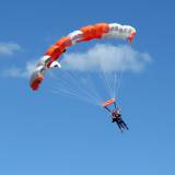 Tandem Flight - Pepperell