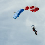 Canopy Flight