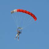 Canopy Flight - Pepperell