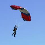 Canopy Flight - Pepperell
