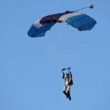 Canopy Flight - Pepperell