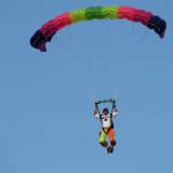 Canopy Flight - Pepperell