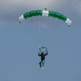 Canopy Flight - Pepperell