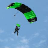 Canopy Flight - Pepperell