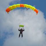 Canopy Flight - Pepperell