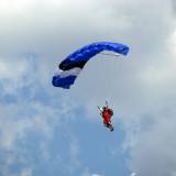 Canopy Flight - Pepperell