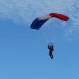 Canopy Flight - Pepperell