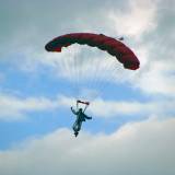 Canopy Flight - Pepperell