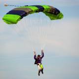 Canopy Flight - Pepperell