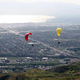 paraglider