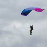 Canopy Flight - Pepperell