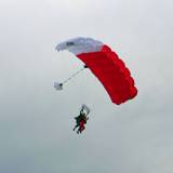 Tandem Flight- Pepperell