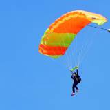 Canopy Flight - Pepperell